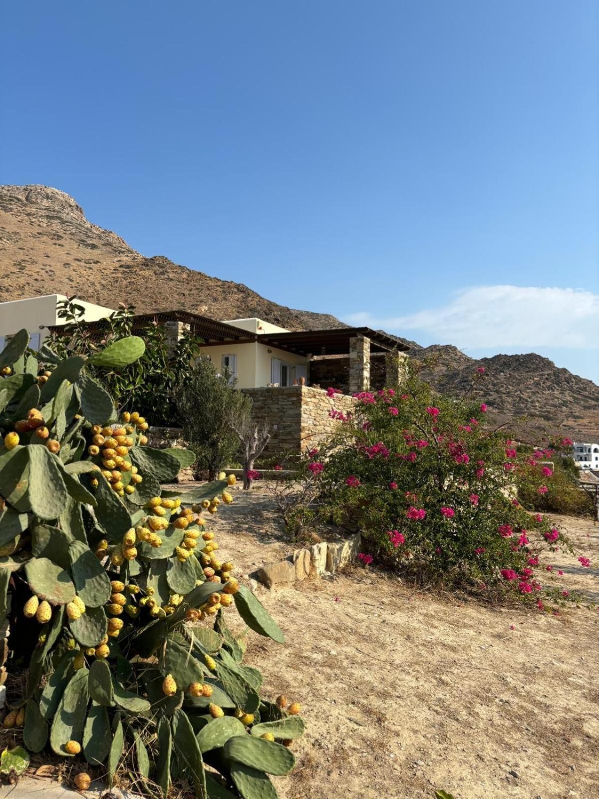 Euphrosyne Villa Иос Хора Екстериор снимка